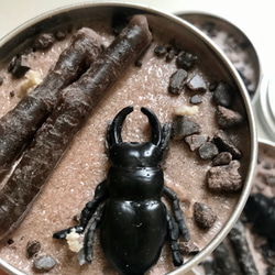 insect TIN candle カブトムシ・クワガタ 昆虫缶 2枚目の画像