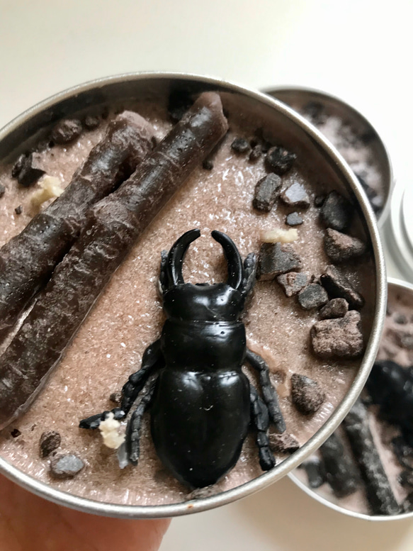 insect TIN candle カブトムシ・クワガタ 昆虫缶 2枚目の画像