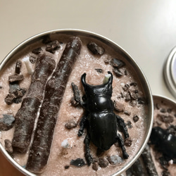 insect TIN candle カブトムシ・クワガタ 昆虫缶 3枚目の画像