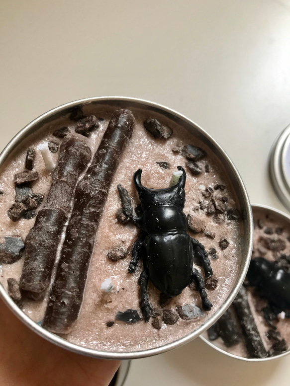 insect TIN candle カブトムシ・クワガタ 昆虫缶 3枚目の画像