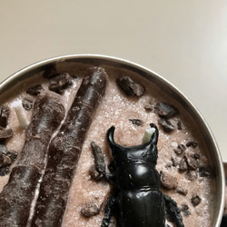 insect TIN candle カブトムシ・クワガタ 昆虫缶 6枚目の画像