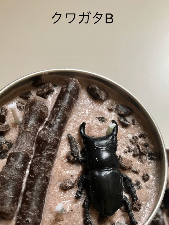 insect TIN candle カブトムシ・クワガタ 昆虫缶 6枚目の画像