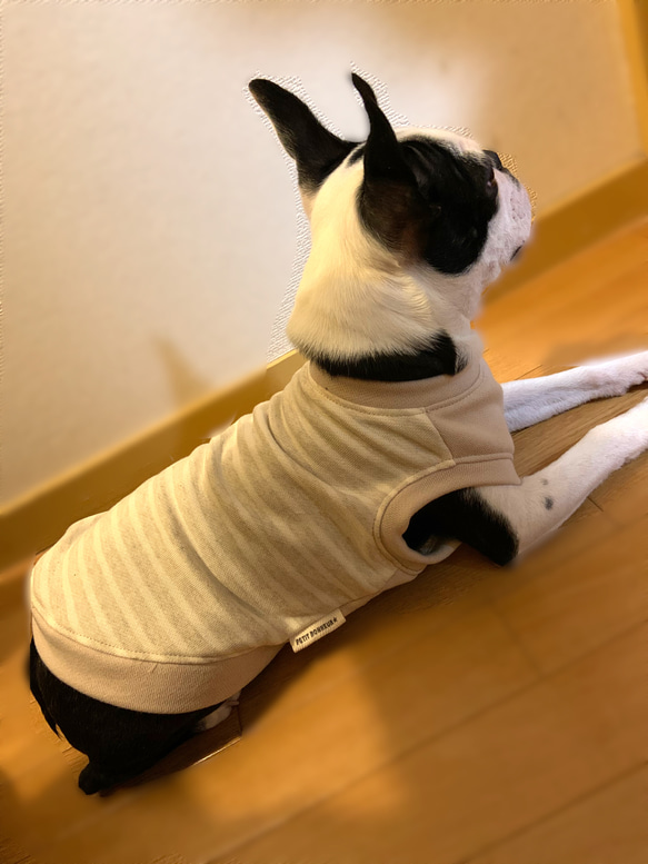犬服　ナチュラルボーダー　タンクトップ　☆Mサイズ☆ 5枚目の画像