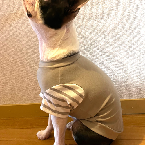 ハンドメイド犬は服【 ぱん 】 犬服 ハンドメイド Mサイズ