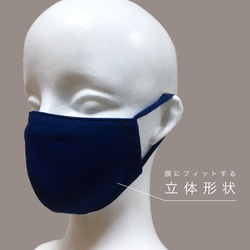 ※期間限定値下げ中！[送料込み]立体マスク(大人用・M/Lサイズ)男女兼用　ネイビー 2枚目の画像