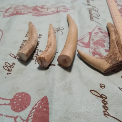 国産 天然 鹿の角 シカの角 ハンドメイド 素材 その他素材 million  