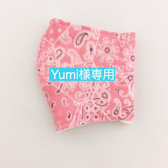 Yumi様専用 1枚目の画像