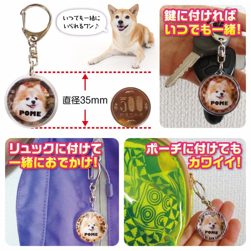 犬 猫 ペット チワワ キーホルダー 写真/名前入り オーダー