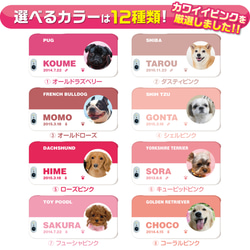 犬　猫　ペット　パグ　スマホケース/スマホカバー　オーダーメイド/オリジナル　写真/名前入り　ピンク-01-s 3枚目の画像