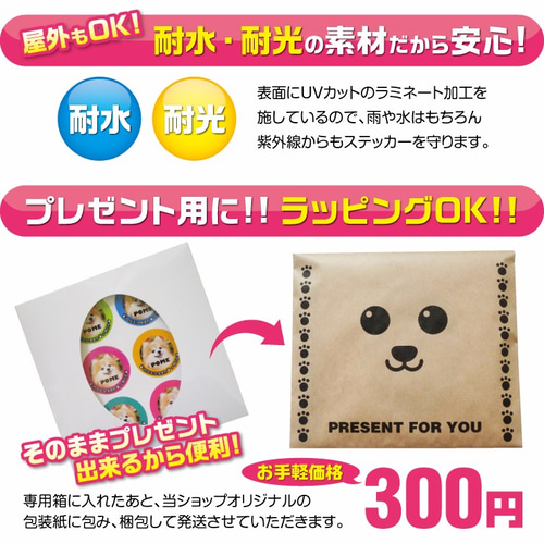 犬 猫 ペット 柴犬 ステッカー/シール 写真/画像/名前入り