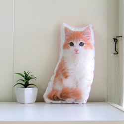 猫　犬　ペット　クッション　ぬいぐるみ　インテリア　メモリアル　プレゼント　オーダーメイド　画像　写真　名前　フワ猫B 1枚目の画像