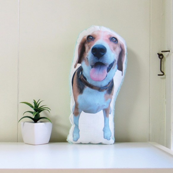 犬　猫　ペット　クッション　ぬいぐるみ　インテリア　メモリアル　プレゼント　オーダーメイド　画像　写真　名前　フワ犬Ac 1枚目の画像