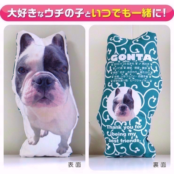 犬　猫　ペット　クッション　ぬいぐるみ　インテリア　メモリアル　プレゼント　オーダーメイド　写真　名前　唐草ブル09n 4枚目の画像