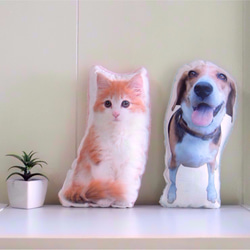 犬　猫　ペット　クッション　ぬいぐるみ　インテリア　メモリアル　プレゼント　オーダーメイド　写真　名前　唐草ブル09n 7枚目の画像