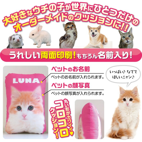ノルウェージャン子猫♡レラちゃん♡アートドール♡ぬいぐるみ♡ 犬 猫 ペット ノルウェージャン クッション ぬいぐるみ メモリアル