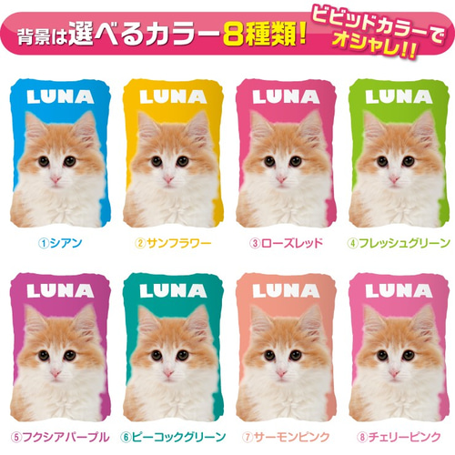 犬 猫 ペット ノルウェージャン クッション ぬいぐるみ メモリアル