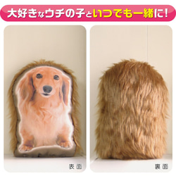 犬　猫　ペット　ダックス　クッション　ぬいぐるみ　メモリアル　プレゼント　オーダーメイド　画像　写真　名前　フサフサc 4枚目の画像