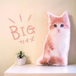 ビッグサイズ　猫　犬　ペット　クッション　ぬいぐるみ　メモリアル　プレゼント　オーダーメイド　画像　写真　フワ猫大c 1枚目の画像