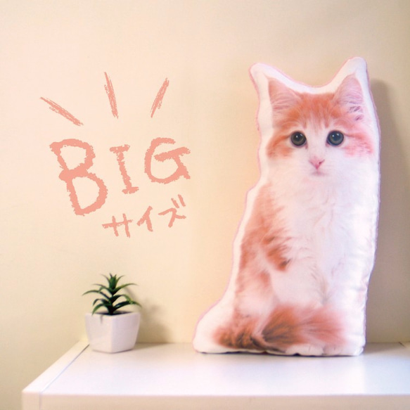 ビッグサイズ　猫　犬　ペット　クッション　ぬいぐるみ　メモリアル　プレゼント　オーダーメイド　画像　写真　フワ猫大c 1枚目の画像