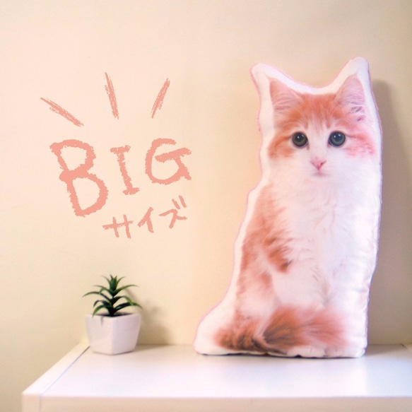 ビッグサイズ　猫　犬　ペット　クッション　ぬいぐるみ　メモリアル　プレゼント　オーダーメイド　画像　写真　フワ猫大n 1枚目の画像