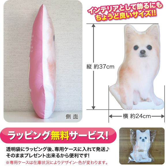 ビッグサイズ　犬　猫　ペット　チワワ　クッション　ぬいぐるみ　メモリアル　プレゼント　オーダーメイド　画像　写真　無地p 5枚目の画像