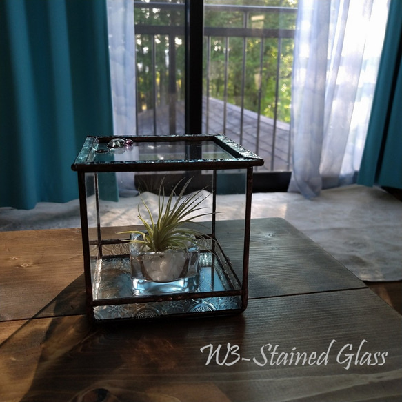 キューブ型テラリウム・蓋付き・約11㎝角 / Terrarium antique style , 2021 1枚目の画像