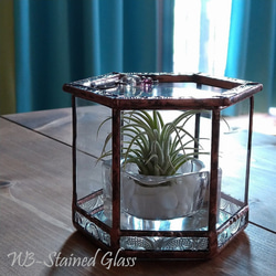 六角柱型テラリウム・蓋付き・直径約11㎝×高さ約8.5㎝ / Terrarium antique style,2021 2枚目の画像