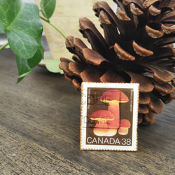 ＊カナダ＊キノコ「オオキノボリイグチ」の切手ブローチ 1枚目の画像