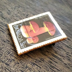 ＊カナダ＊キノコ「オオキノボリイグチ」の切手ブローチ 3枚目の画像