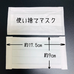 【2点以上送料無料】洗っても形崩れしにくい【しっかり４層プリーツマスクＭ】 2枚目の画像