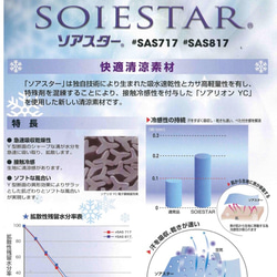 接触冷感生地　ソアスターメッシュSAS717 6枚目の画像