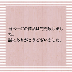 #88 アクセサリー 小物類 2枚目の画像