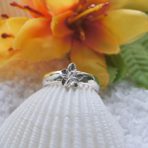 ピンキーリング(ハワイヤンジュエリー) ハワイアンジュエリー シャーク・ティース ピンキーリング - PUA ALLY