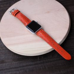 高級革使用Apple Watchレザーバンドスティングレイ　エイ革レザーベルト 時計ベルト D74~79 高級金具付け 4枚目の画像