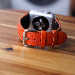 高級革使用Apple Watchレザーバンドスティングレイ　エイ革レザーベルト 時計ベルト D74~79 高級金具付け 9枚目の画像