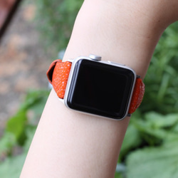 【新作】高級革使用Apple Watchレザーバンド 時計ベルト　スティングレイ　エイ革　レザーバンド　時計ベルトD73 1枚目の画像