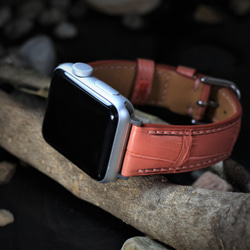 【新作】高級革使用Apple Watch フランス産クロコダイル革ワニ革 時計ベルトD68 1枚目の画像