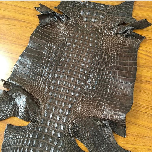 ワニ革 クロコダイル ブラウン半ツヤマット一枚革 その他素材 レザー 