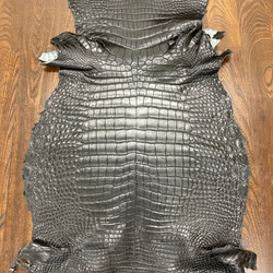 クロコダイル ワニ革 ブラック×半ツヤマット 一枚革(491) その他素材