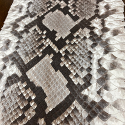 パイソン　ヘビ革　ナチュラルカラー×マット　40cm革 1枚目の画像