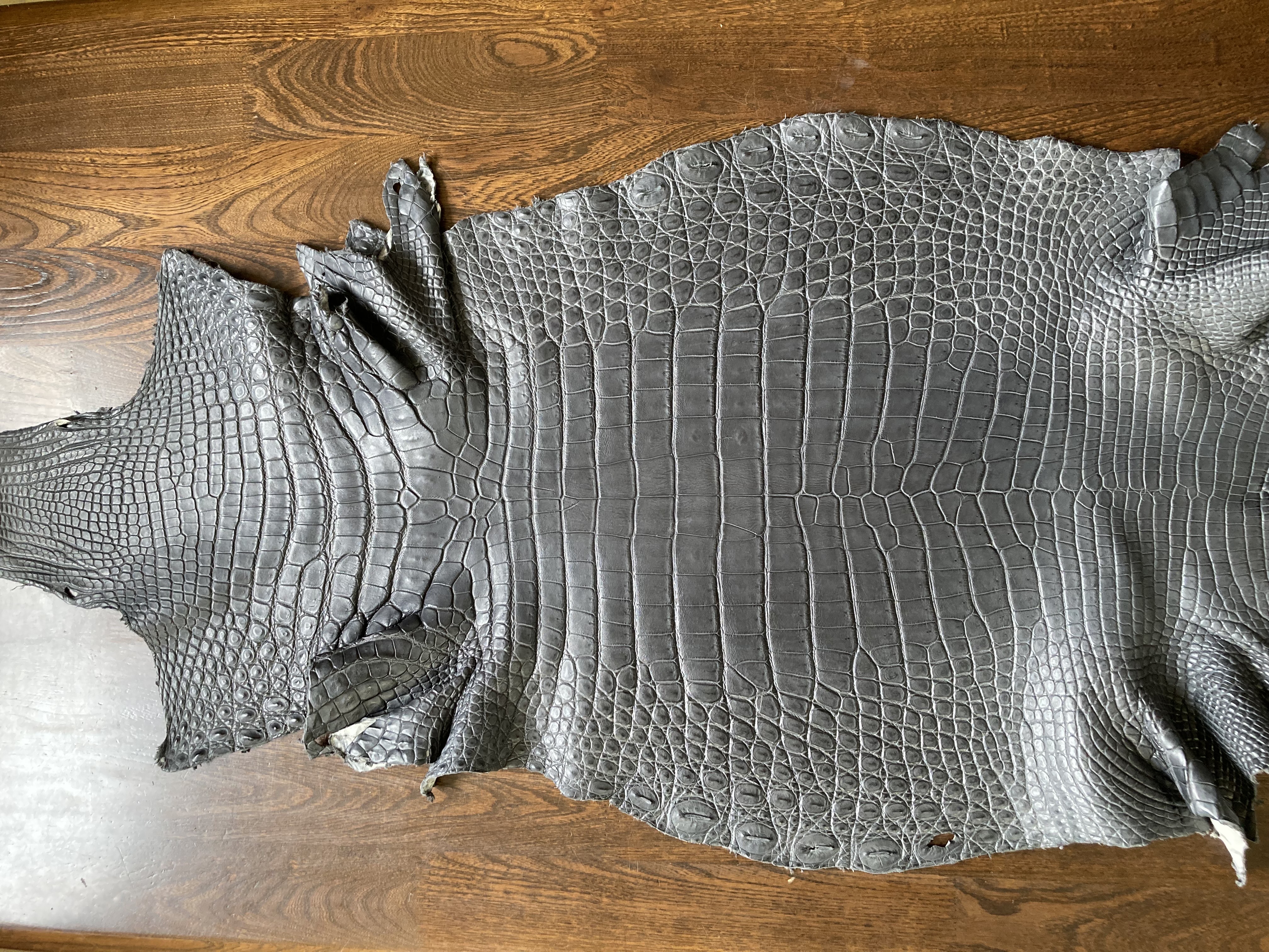 クロコダイル（シャムワニ）ハギレ 美品 濃グレー Lサイズ 現品限り