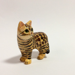 ベンガル猫 3枚目の画像