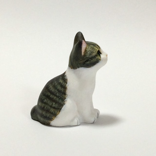 キジトラ白猫ページです。 寝ない気まんまん？ #キジトラ白 #ねこ #pecotv #ねこ #ねこすた