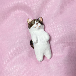 睡覺 Kijitora 白貓雕像 第2張的照片