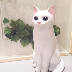 ブルーアイの大きな白猫　（予約済み） 2枚目の画像