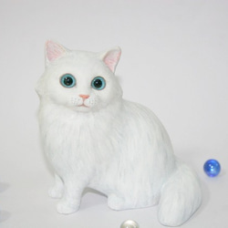 ブルーアイの白い猫 2枚目の画像