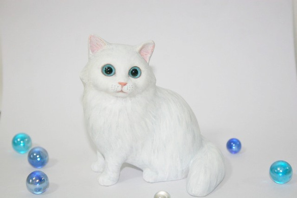 ブルーアイの白い猫 2枚目の画像