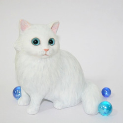 ブルーアイの白い猫 1枚目の画像