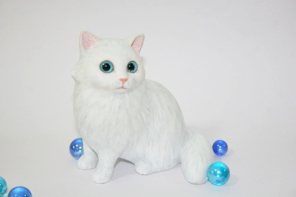藍眼睛白色貓 第1張的照片