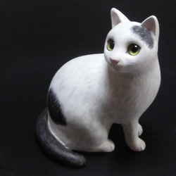 白黒猫 1枚目の画像